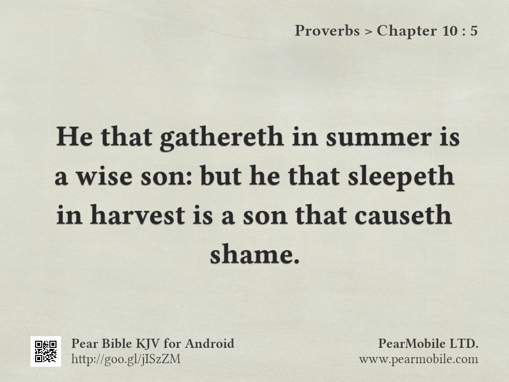 Proverbs, Chapter 10:5